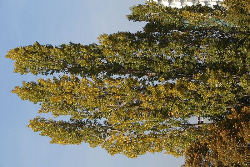 DSC00603.JPG