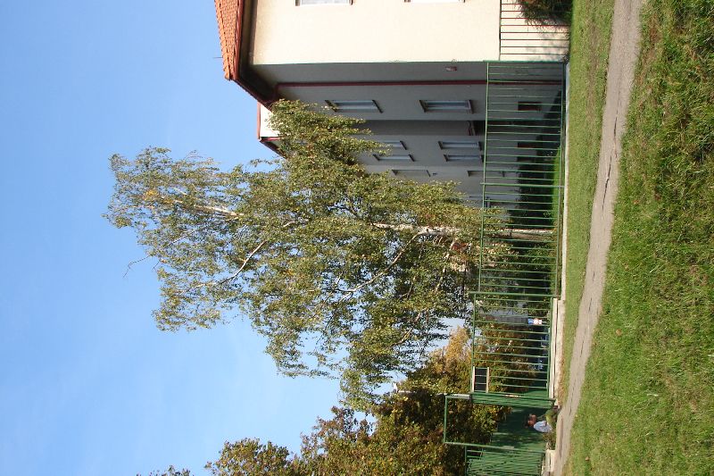 DSC00667.JPG