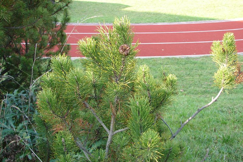DSC00669.JPG