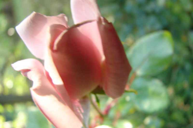 DSC00676.JPG