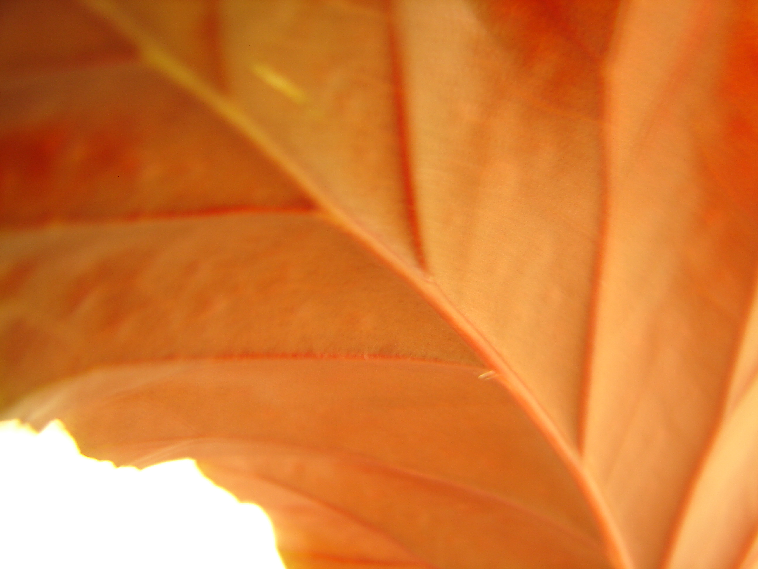 DSC01117.JPG