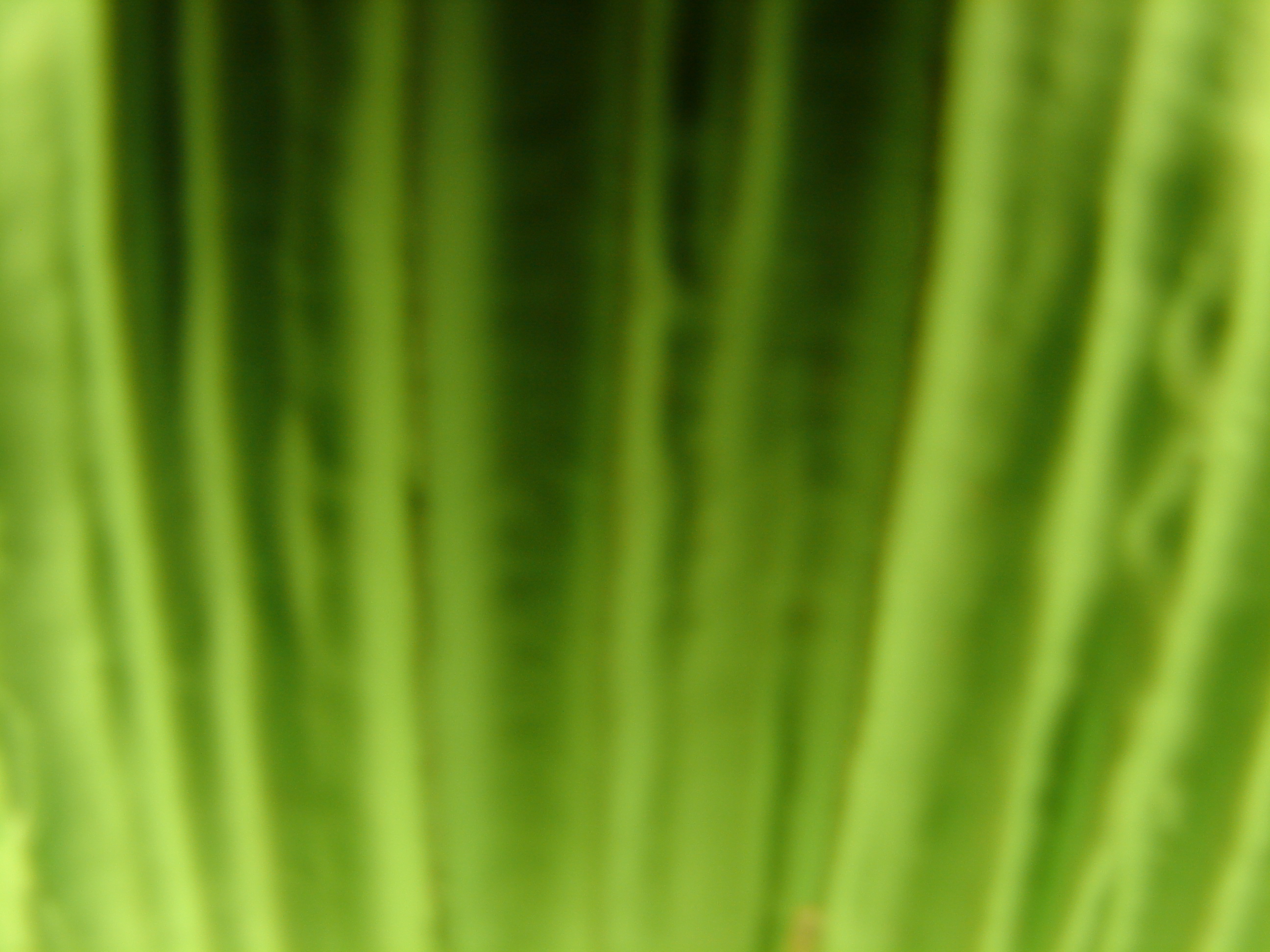 DSC01129.JPG